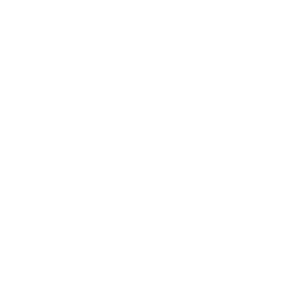 car (1)
